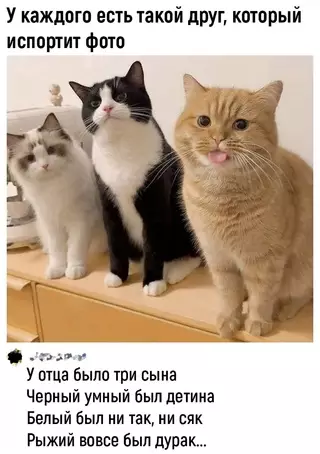 Смешная картинка №706091
