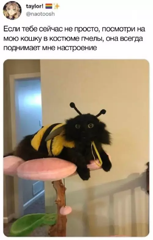 Смешная картинка №661096
