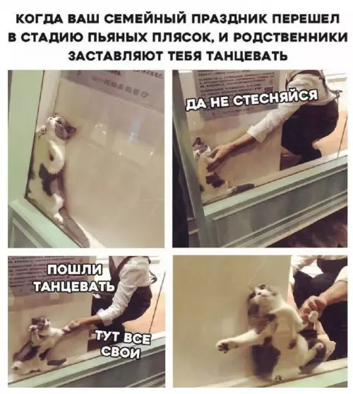 Смешная картинка №712046
