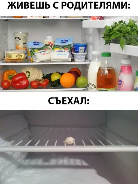 Смешная картинка №300513