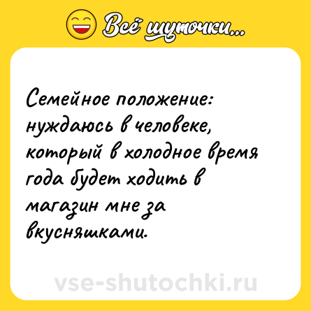 Шутка: Семейное положение: нуждаюсь в человеке, который в холодное время года будет ходить в магазин мне за вкусняшками.