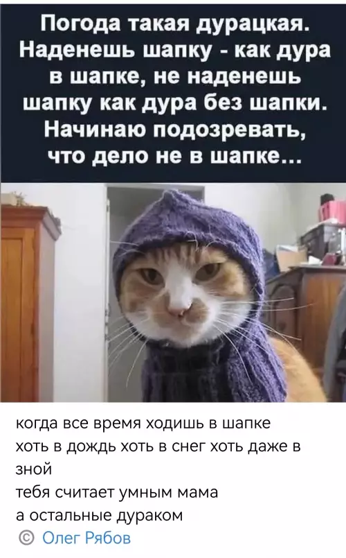 Смешная картинка №794067