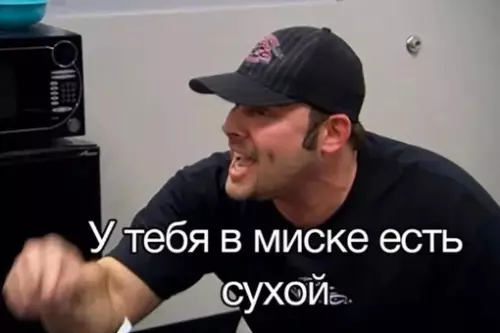 продолжение Смешная картинка №688766 Коротко о моей кошке