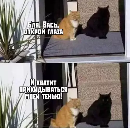 Смешная картинка №394994