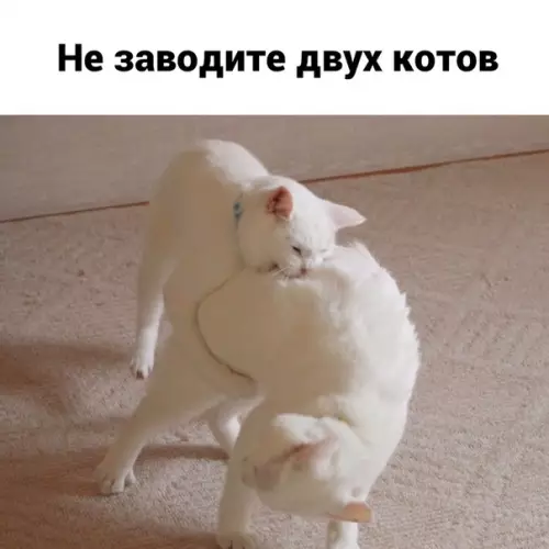 Смешная картинка №523652