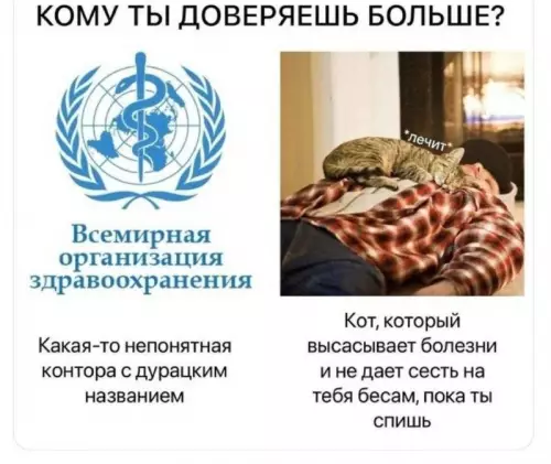 Коты vs ВОЗ: кому верить? 🐈😂 - КОМУ ТЫ ДОВЕРИШЬ БОЛЬШЕ? Всемирная организация здравоохранения какая-то непонятная контора