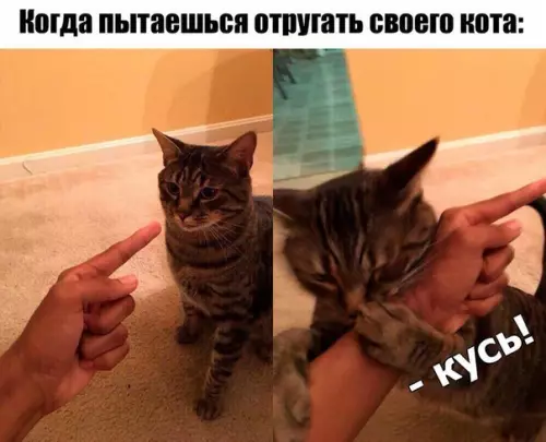 Смешная картинка №270343
