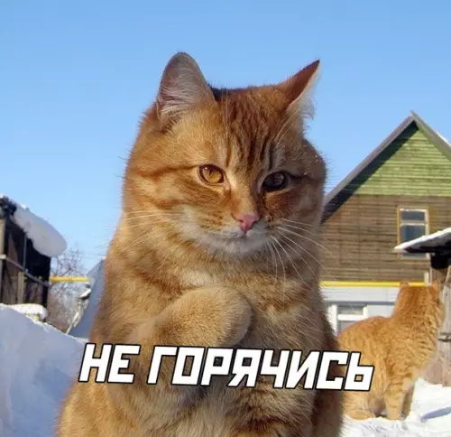 продолжение Смешная картинка №562941