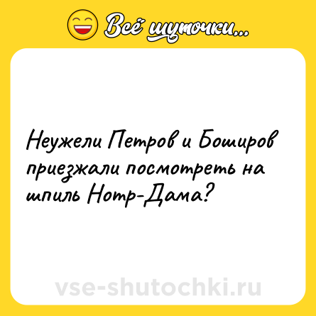 Шутка: Неужели Петров и Боширов приезжали посмотреть на шпиль Нотр-Дама?