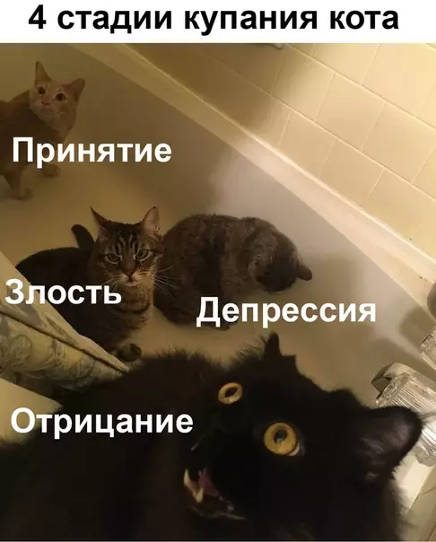 Смешная картинка №495662 И так каждый раз.
