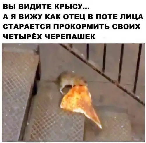 Смешная картинка №207738