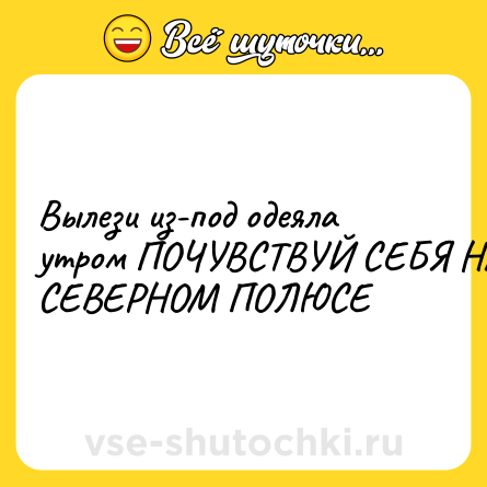 Шутка: Вылези из-под одеяла утром ПОЧУВСТВУЙ СЕБЯ НА СЕВЕРНОМ ПОЛЮСЕ