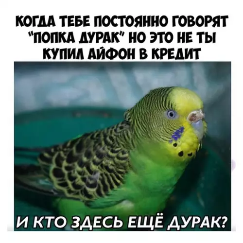 Смешная картинка №471941