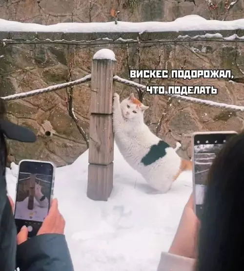 Смешная картинка №740615