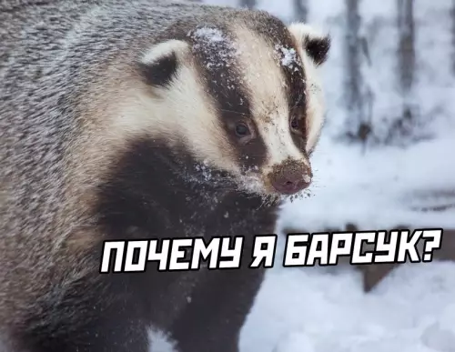 продолжение Смешная картинка №630052