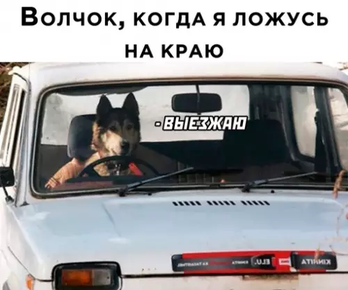 Смешная картинка №663468
