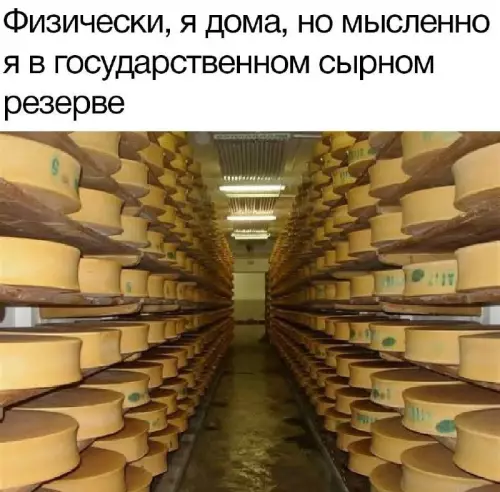 Где я сейчас? 🧀✨ - Физически, я дома, но мысленно я в государственном сырном резерве