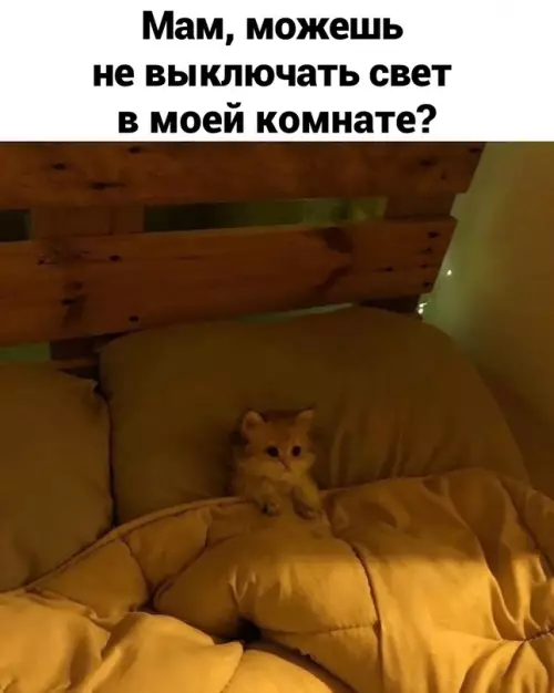 Смешная картинка №709712