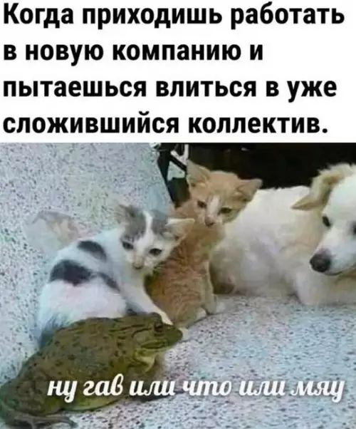 Смешная картинка №736662