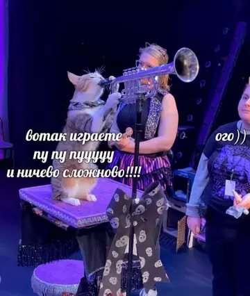 Смешная картинка №759473 Панятна?