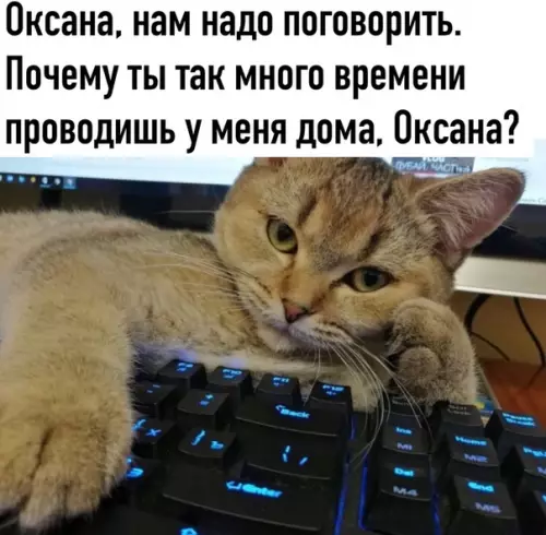 Смешная картинка №481440 Что за дела, Оксана?