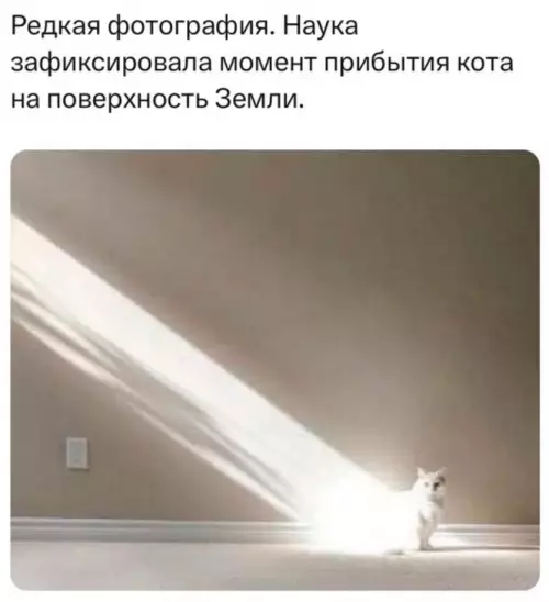 Смешная картинка №734851