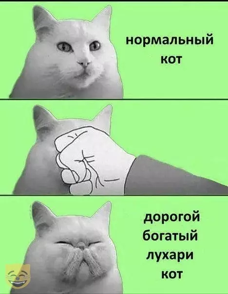 Смешная картинка №358083 #приколы #картинки #мемы ?