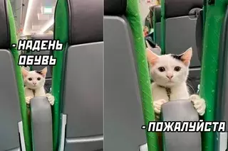 Смешная картинка №666063