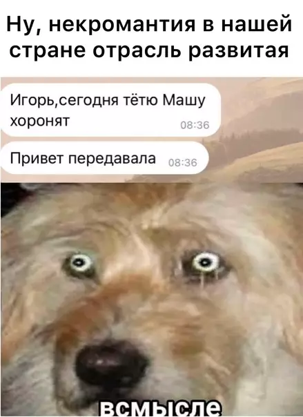 Смешная картинка №590674
