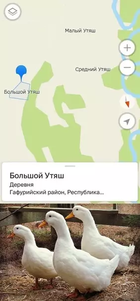 продолжение Смешная картинка №570586 Гeoгpaфичecкaя милoтa