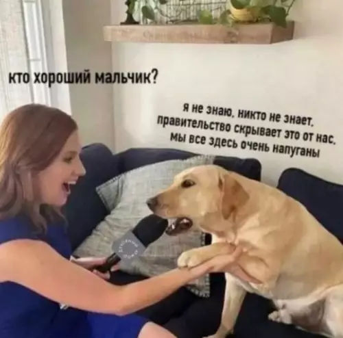 Смешная картинка №788971