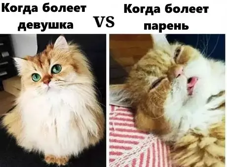 Смешная картинка №280014