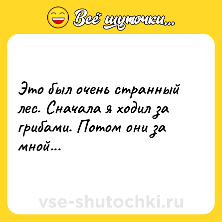 Шутка: Это был очень странный лес. Сначала я ходил за грибами. Потом они за мной...