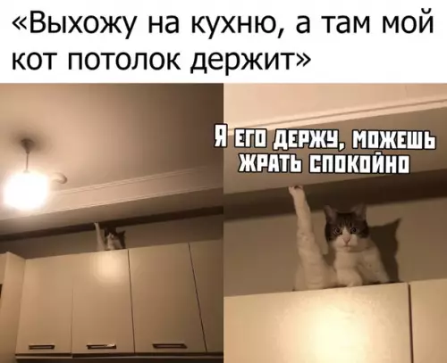Смешная картинка №386438