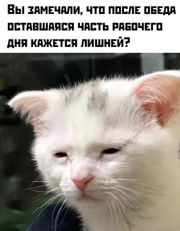 Смешная картинка №768228 До слёз
