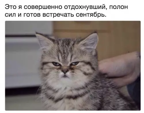 Смешная картинка №299615