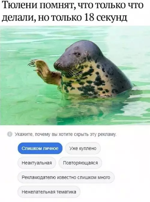 Смешная картинка №687840