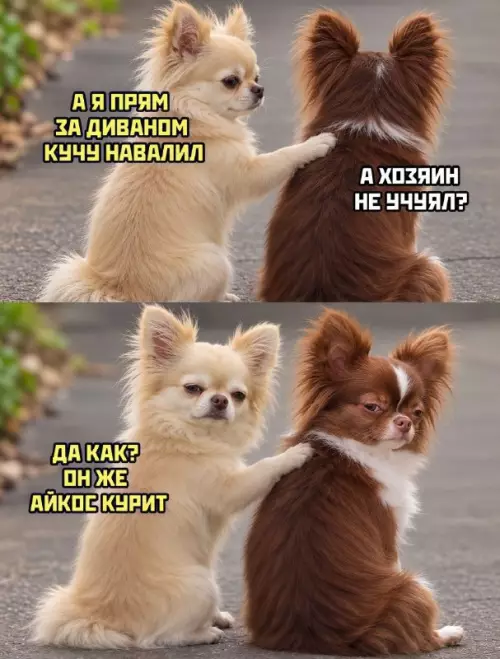 План перехват: когда хозяин слишком занят 😂 - А Я ПРЯМ ЗА ДИВАНОМ КУЧУ НАВАЛИЛ А ХОЗЯИН НЕ