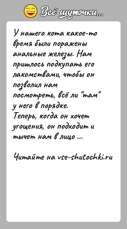 История: У нашего кота какое-то время были поражены анальные железы. Нам пришлось подкупать его лакомствами, чтобы он позволил нам посмотреть, всё