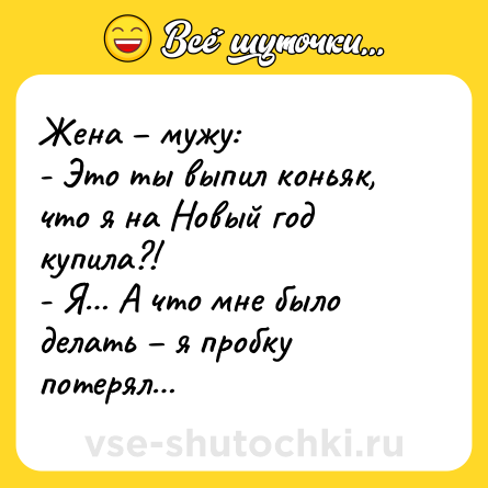 Шутка: Жена – мужу:<br>- Это ты выпил коньяк, что я на Новый год купила?!<br>- Я… А что мне было делать – я пробку потерял…
