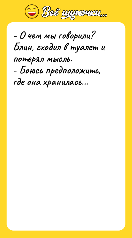 - О чем мы говорили? Блин, сходил в туалет и