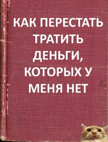 Смешная картинка №316005