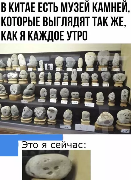Смешная картинка №516559