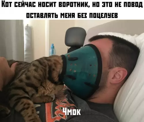 Смешная картинка №380377