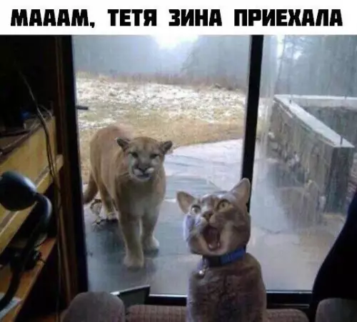Смешная картинка №229287