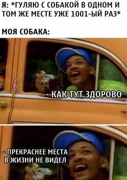 Смешная картинка №654945