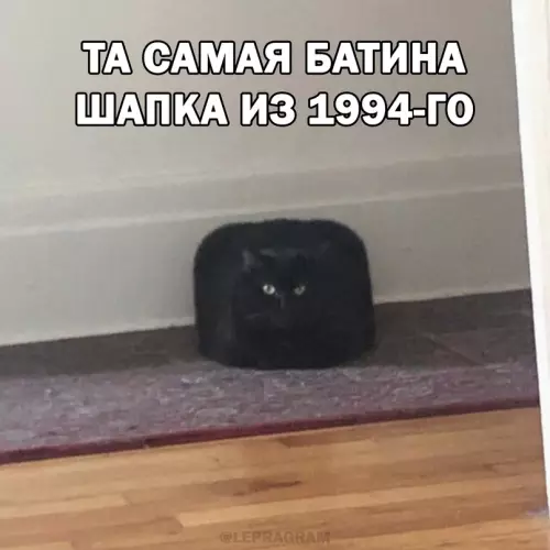 Смешная картинка №671432