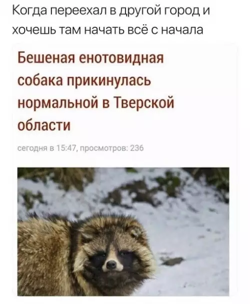 Смешная картинка №651041