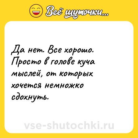 Шутка: Да нет. Все хорошо. Просто в голове куча мыслей, от которых хочется немножко сдохнуть.