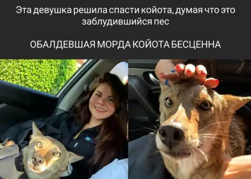 Смешная картинка №581476 Пepeпyтaлa